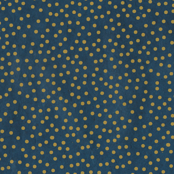 PN435-01 BL8