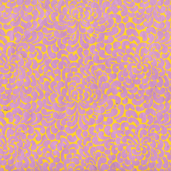 PN442-4 -WR7/YL1