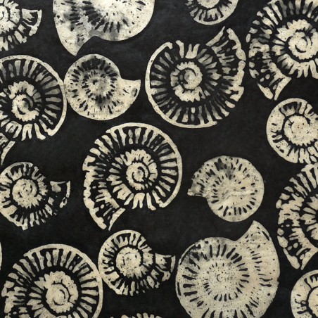PN472-4 Noir