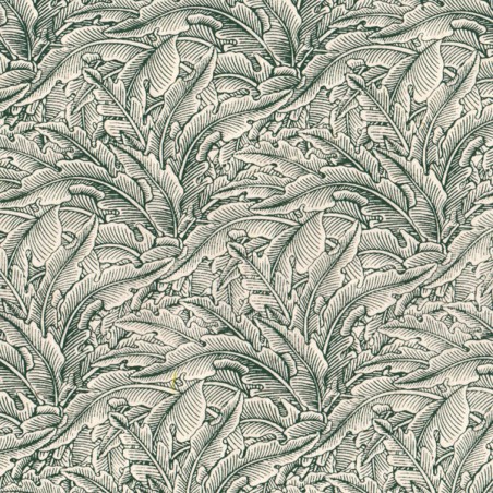 PN450-6 Lichen