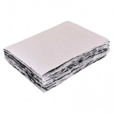 LALLJ64BWSTM