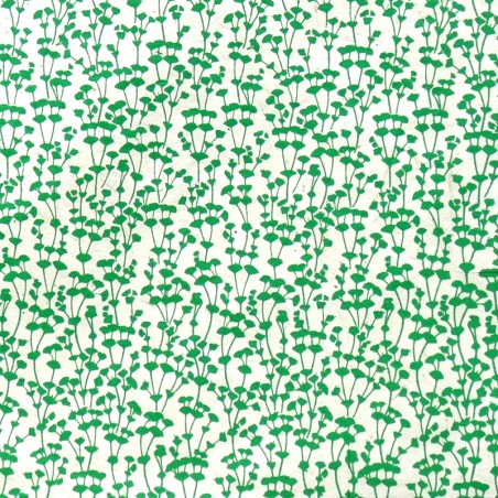 PN477-2 NA1