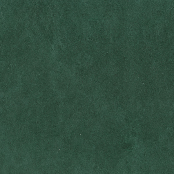 P3B-FG1 vert sapin