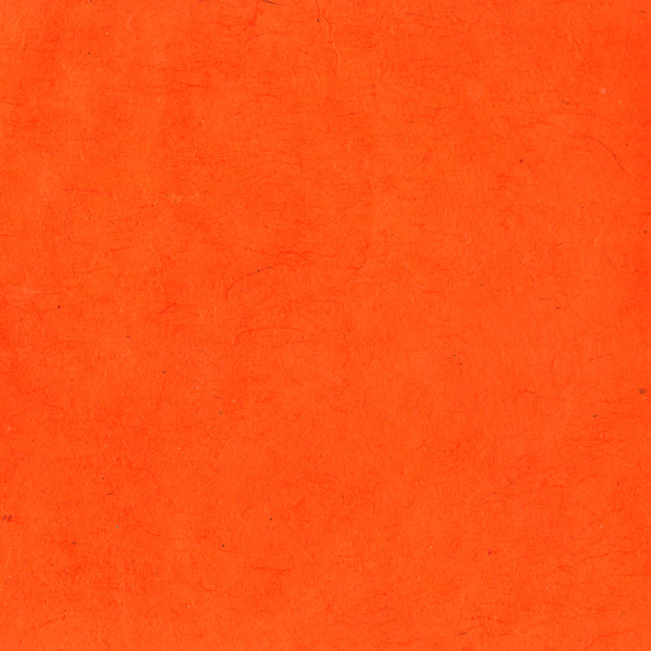 P3B-OR1 orange vif