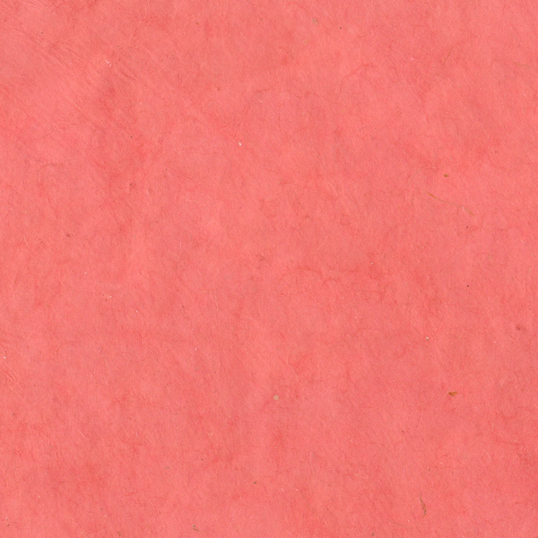 P3B-RDN framboise