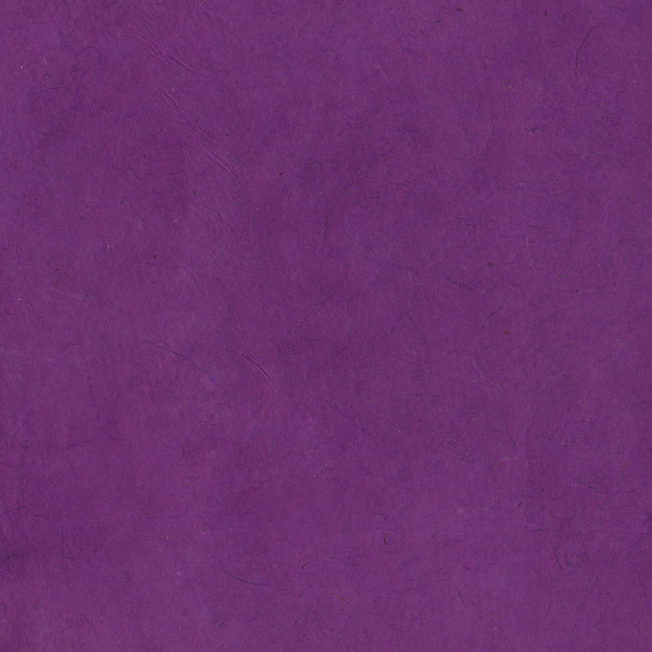 P3B-WR2 violet