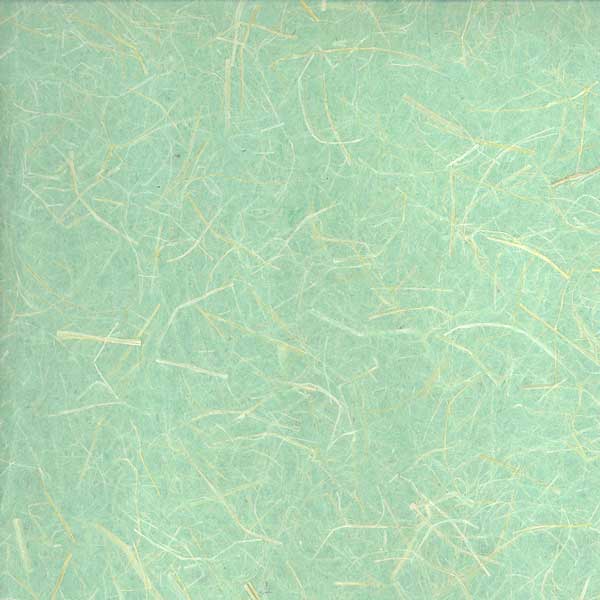 PiBP-Vert (Promotion)