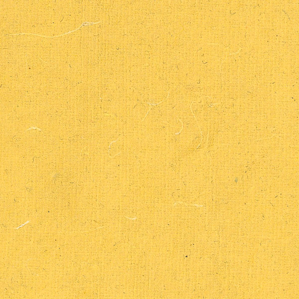 PiCOT-Abricot (Promotion)