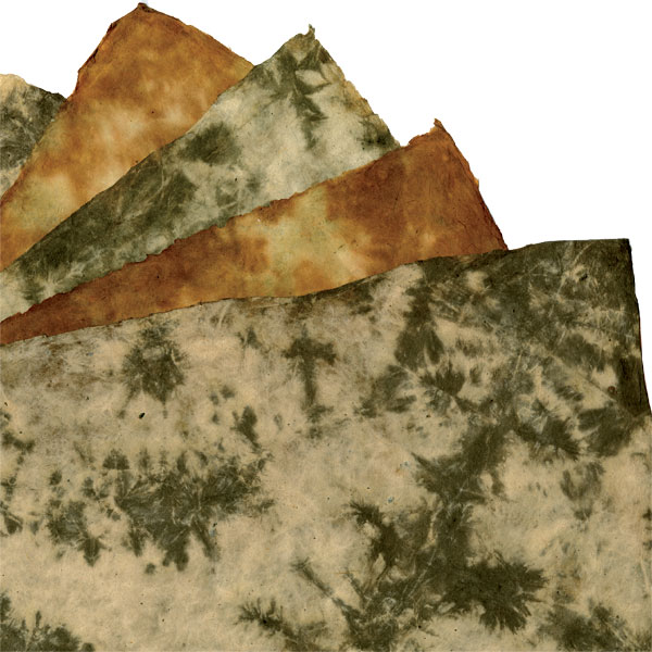 PNPATCH-Assorties (Promotion)