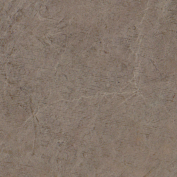 PN196-Souris