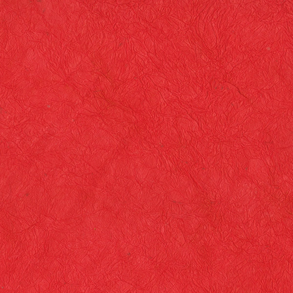 PN124S-n°09